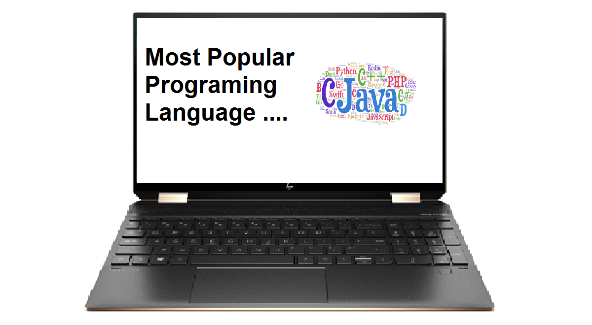 Most popular programing language